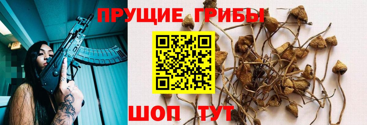 Галлюциногенные грибы ЛСД  Вход с VPN  Шахты 